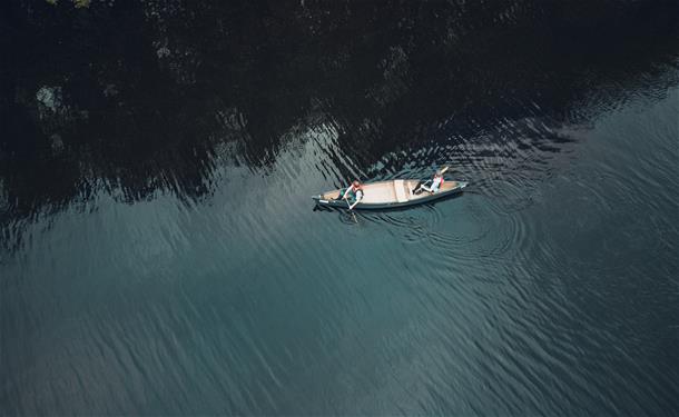 Easy Seal Paddling holiday